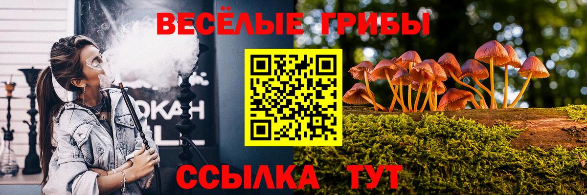 Галлюциногенные грибы прущие грибы Донецк