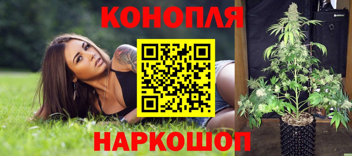 Шишки марихуана планчик Донецк